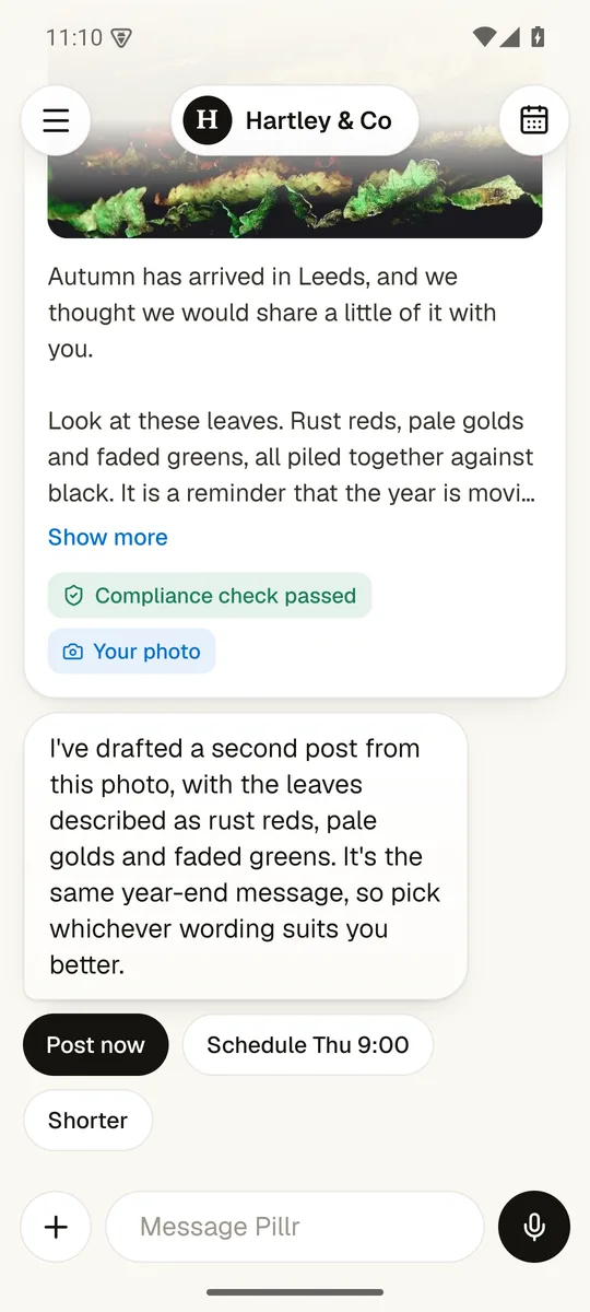 A post Pillr drafted from a photo, with post now and schedule buttons